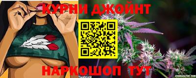 гидра Бузулук